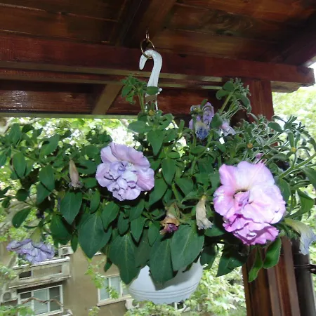 Aleksandrovska * 布尔加斯