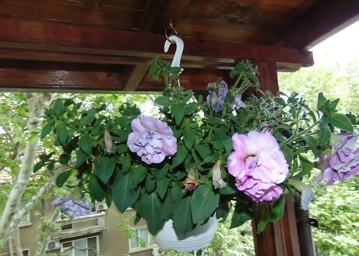 Aleksandrovska * ブルガス